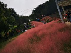-牛岗山公园