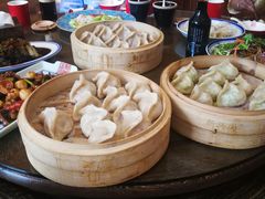 -新兴园饺子馆(河南街店)