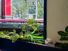 -涿派·炝锅鱼(涿州店)