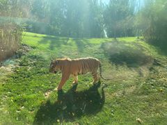 -北京野生动物园
