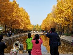 -玲珑塔公园