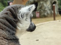 -杭州野生动物世界