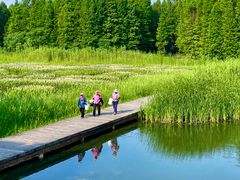 -溱湖国家湿地公园