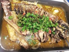 -鱼酷活鱼烤鱼(南京水游城店)