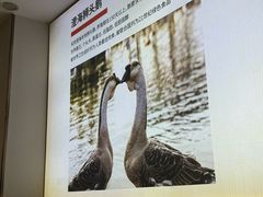 -陆记鹅庄·潮汕菜·狮头鹅(大仟里店)