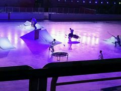 -松江大学城体育馆滑冰馆