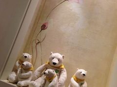 android_upload_pic-济州岛泰迪熊博物馆