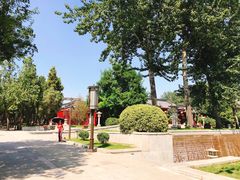 -大雁塔北广场音乐喷泉