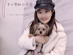 -浣熊柯尔鸭土拨鼠·电玩咖