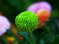 -共青国家森林公园-售票处