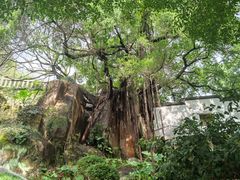 -乌山风景区