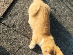 -慢丽江·云南野生菌土鸡锅(付家庄店)