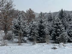 -塞罕坝国家级自然保护区