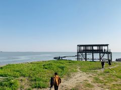 -合肥滨湖国家森林公园