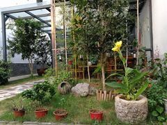 -龙湖东院农庄(乡间小路店)