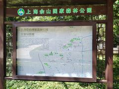 -上海佘山国家森林公园天马山园