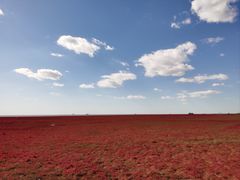 -红海滩国家风景廊道