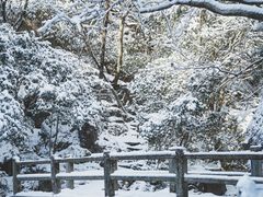 -浙西天池-售票处