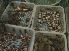 -木柴豆腐·活海鲜·鲁菜