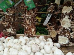 -楠柏弯休闲山庄(梨花溪店)