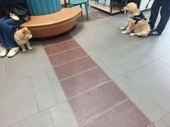 -联合动物医院(光谷诊疗中心)