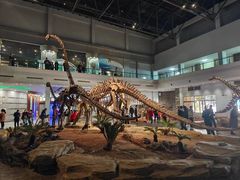 -自贡恐龙博物馆
