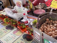 -马陆小张葡萄园农家乐