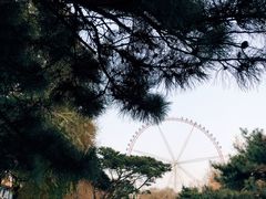 -哈尔滨文化公园