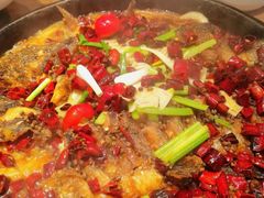 -老板恋上鱼(恒隆广场店)