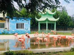 -秦皇岛野生动物园