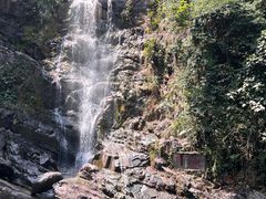 -鼎湖山风景区
