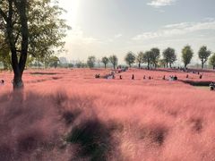 -汉长安城未央宫国家考古遗址公园