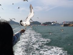 -海驴岛(荣成市)