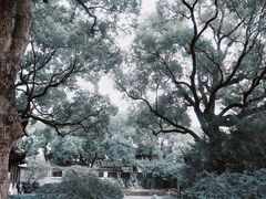 -惠山古镇·寄畅园