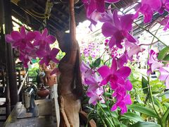 景观位-自然餐厅(Phuket)