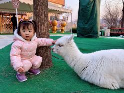 -萌宠亲子动物乐园(槐房万达店)