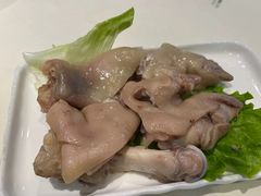 -丁老爷子苏香圆