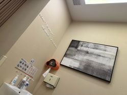 -上海玫瑰医疗美容医院