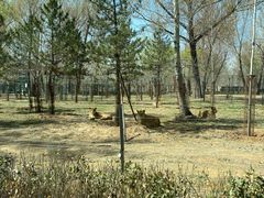 -秦皇岛野生动物园