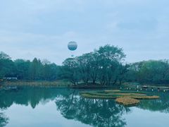 -西溪国家湿地公园