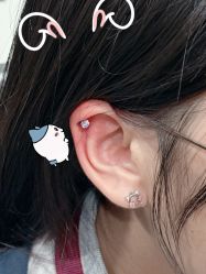 -龙之吻专业刺青·手工耳洞·纹身去色