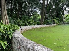 -成都市活水公园