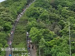 -梧桐山风景名胜区