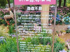 -上海滨江森林公园