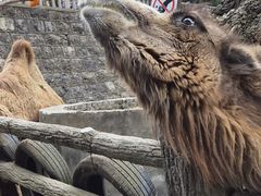 -昆明动物园