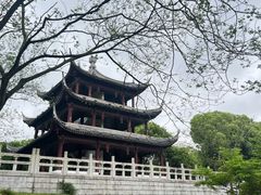 -白马涧龙池景区