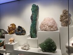 -重庆自然博物馆(新馆)