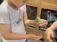 -酷以爬仙阁实体爬宠店·守宫·蜥蜴·专业繁育