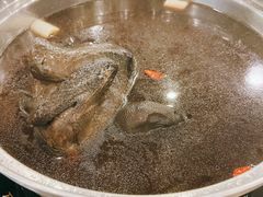 乌鸡锅底-太婆天府山珍酒楼(亚运村店)