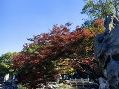 -常熟方塔园